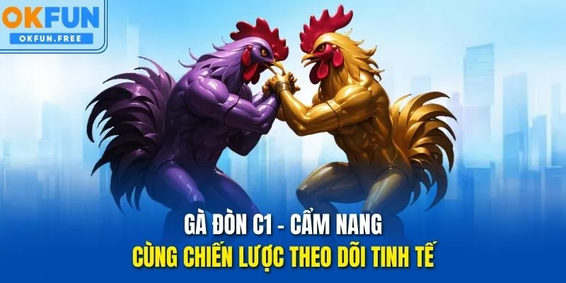 gà đòn c1 okfun
