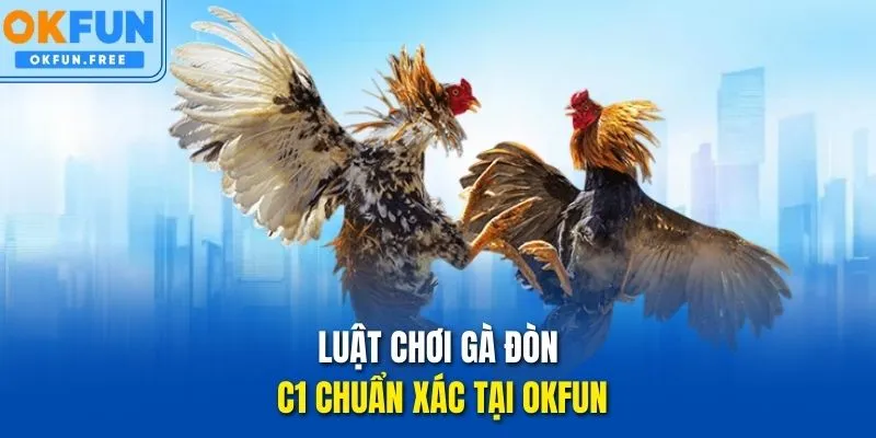 Luật chơi Gà Đòn C1 chuẩn xác tại OKFUN